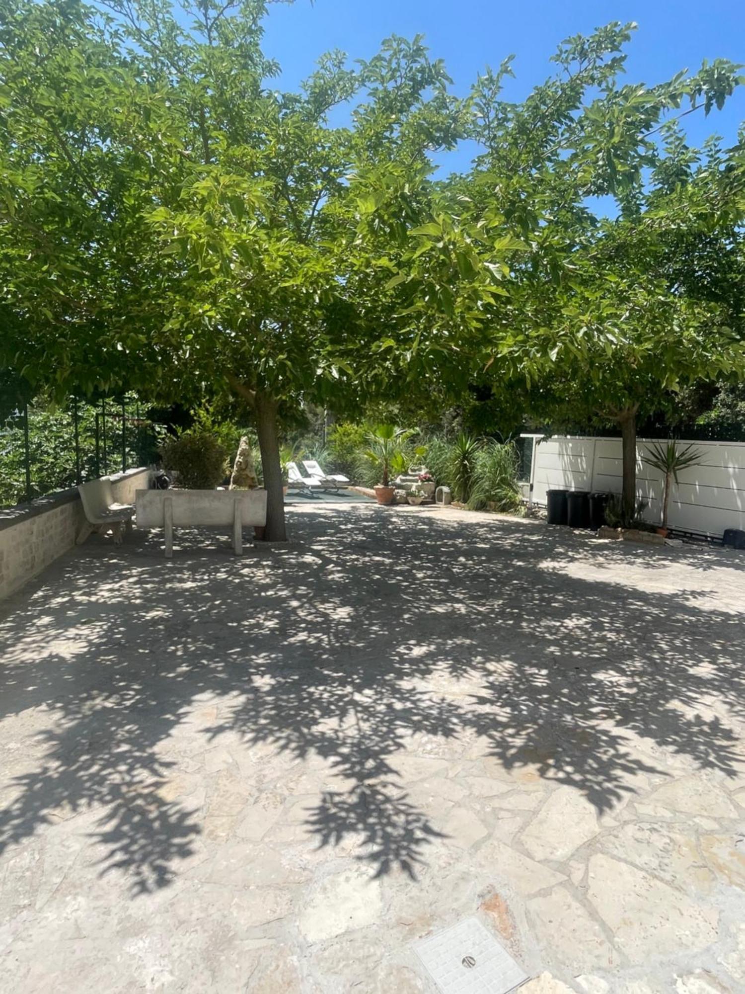 Villa Romina Selva Di Fasano Esterno foto